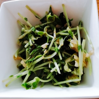 ポリ袋で！豆苗とキャベツの酢の物